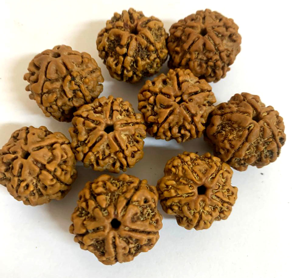 uploads/blog/278046512345569e347fc5dfe0WhatsApp Image 2026-02-24 at 2.32.59 PM (1).jpeg